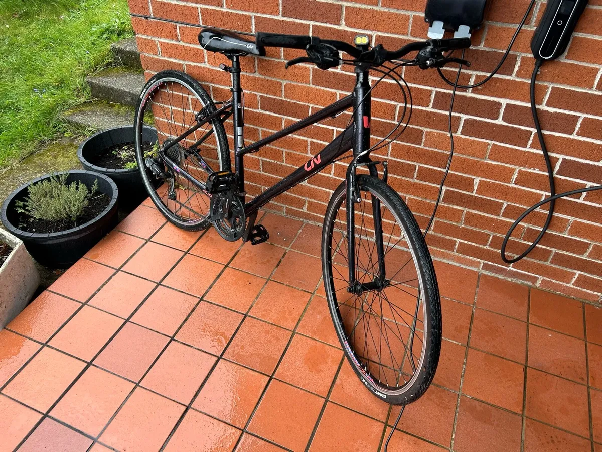 Giant Ladies Liv Bike - Image 4