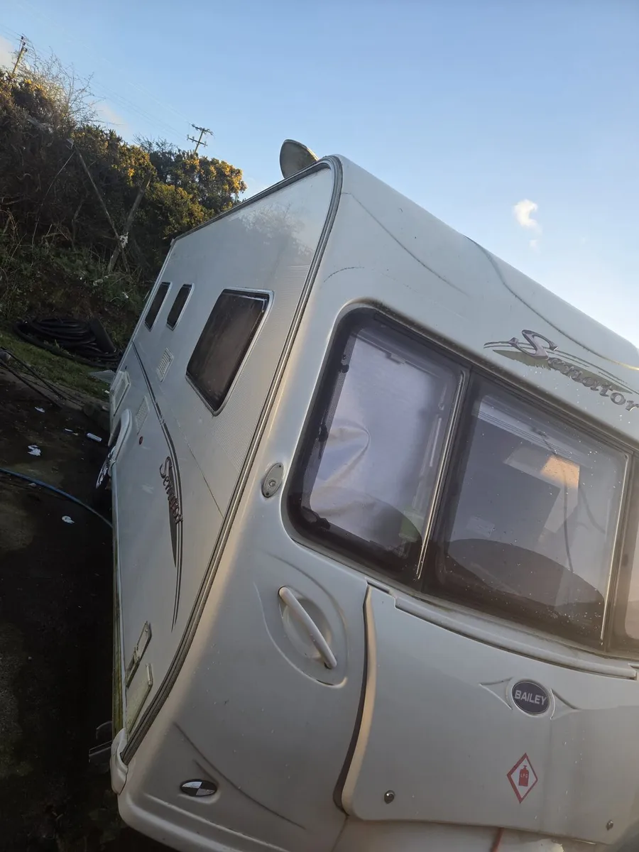 Bainley senator 2005 - Image 2