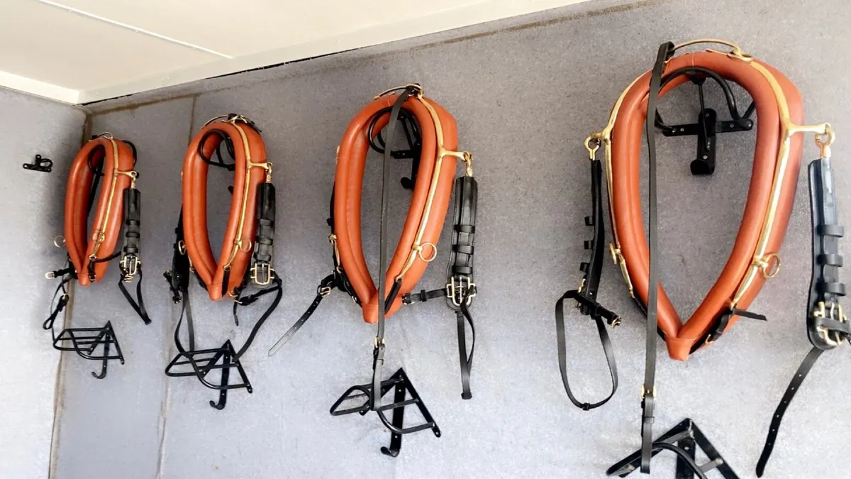 Coaching team collars - Image 1