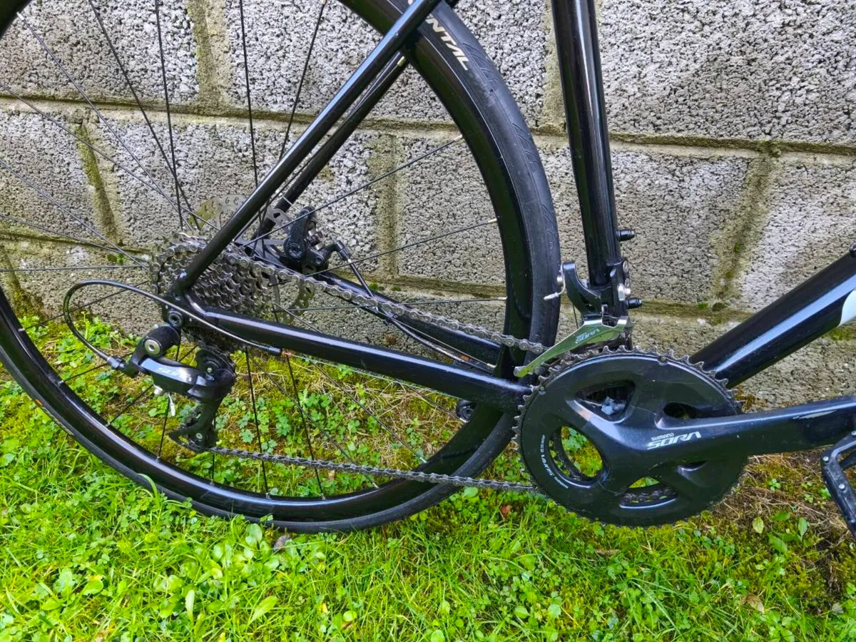 Giant Contend AR 3 disc size L - Image 3