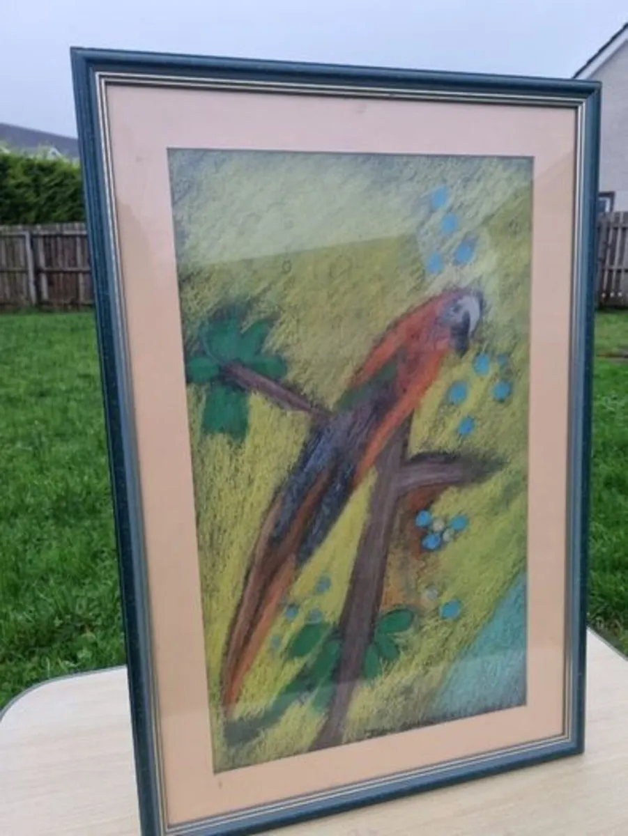 John Gallagher parrot pastel - Image 1