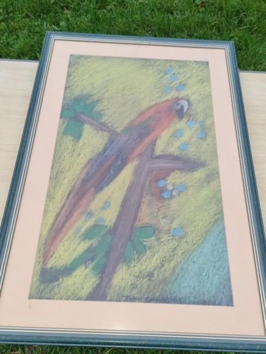 John Gallagher parrot pastel - Image 4