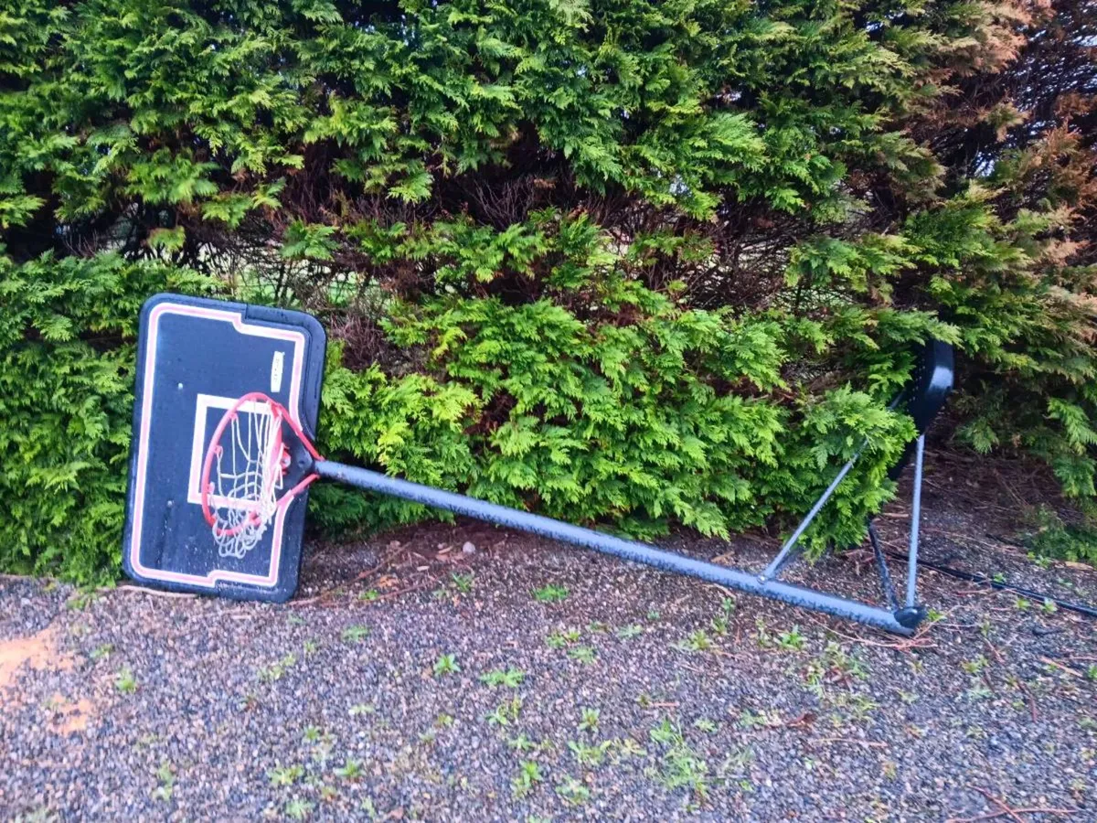 Basketball Hoop - Image 3