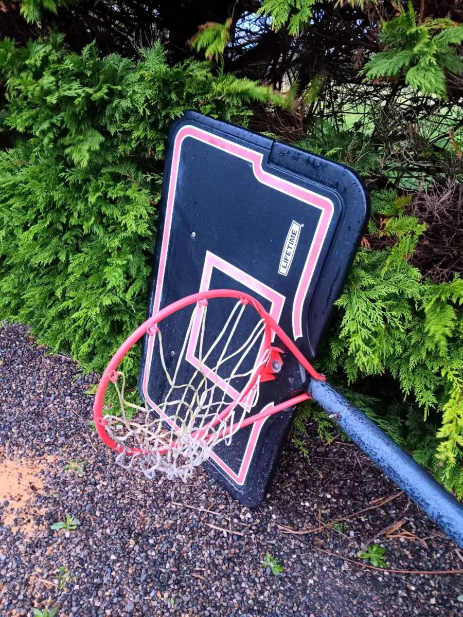 Basketball Hoop - Image 4