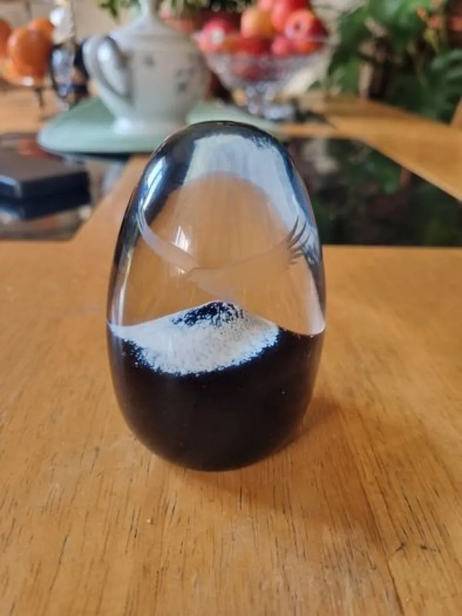 Caithness Scottish glass paperweight - Image 1