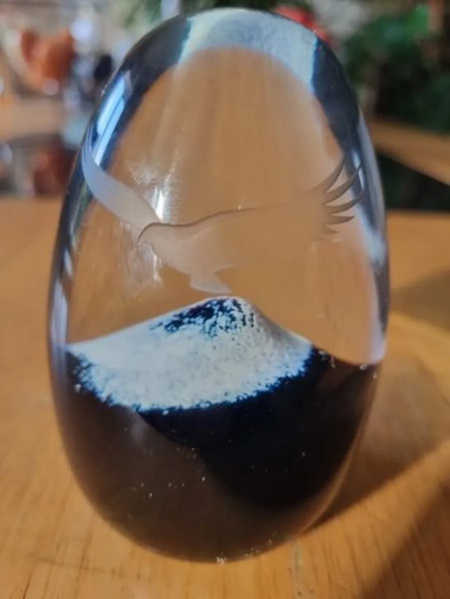 Caithness Scottish glass paperweight - Image 4