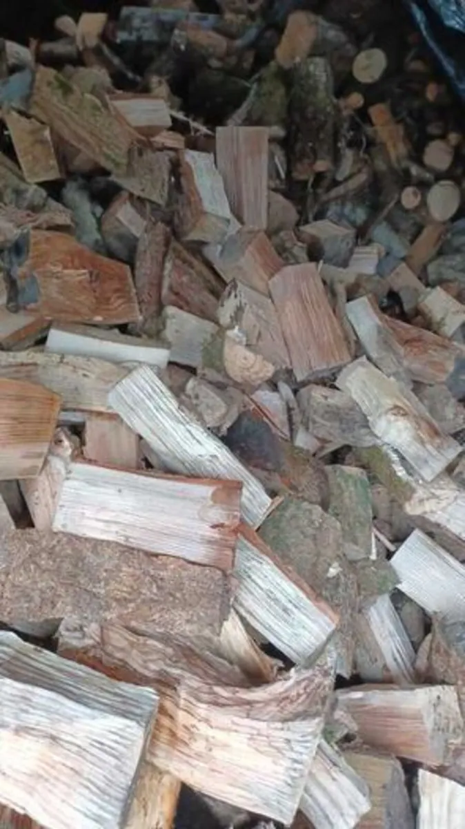 Firewood - Image 2