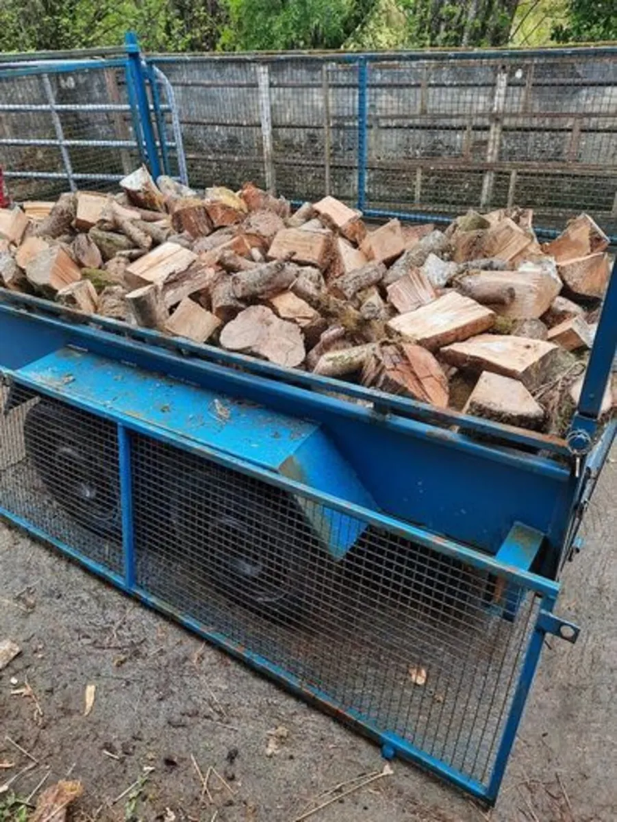 Firewood - Image 1