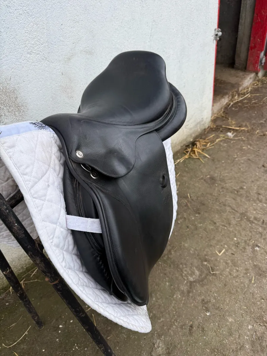 CWD Saddle - Image 1