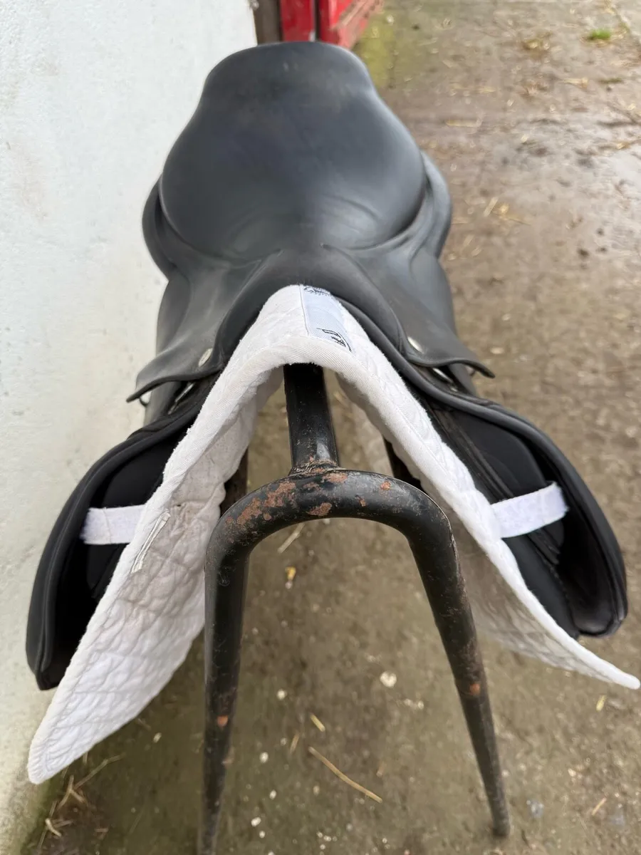 CWD Saddle - Image 2