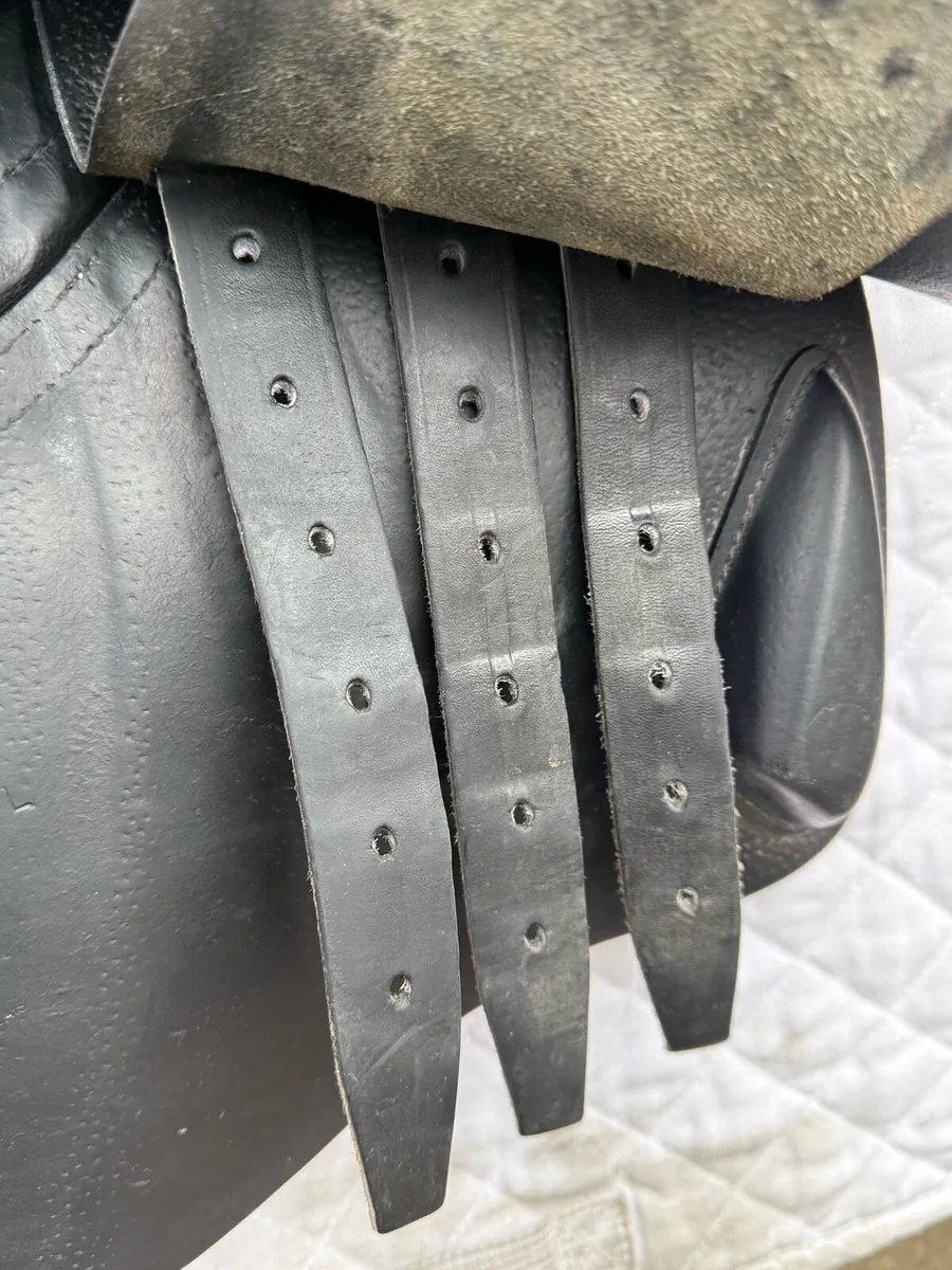 CWD Saddle - Image 3
