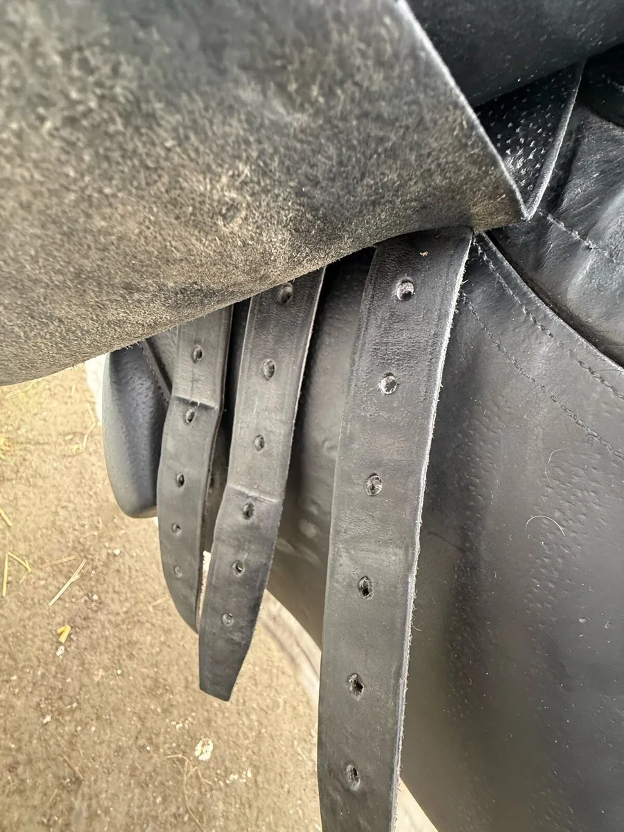 CWD Saddle - Image 4