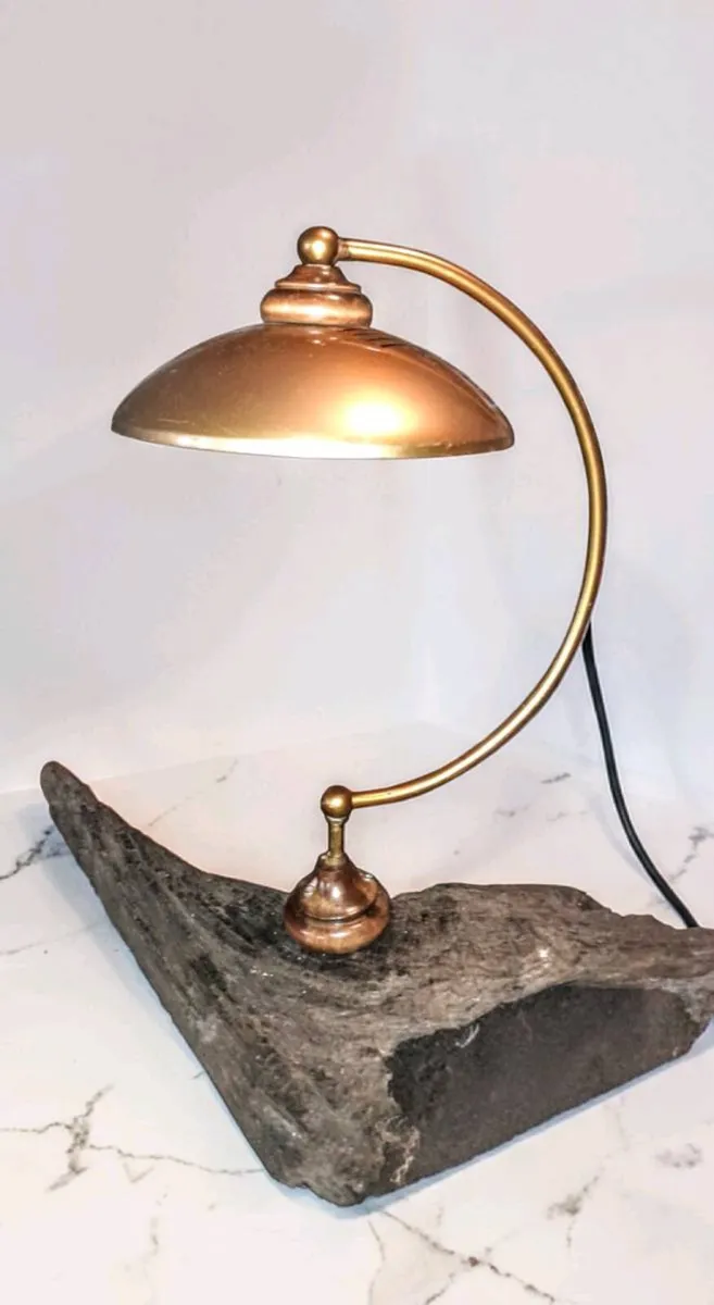 Large unique rotating bog oak lamp