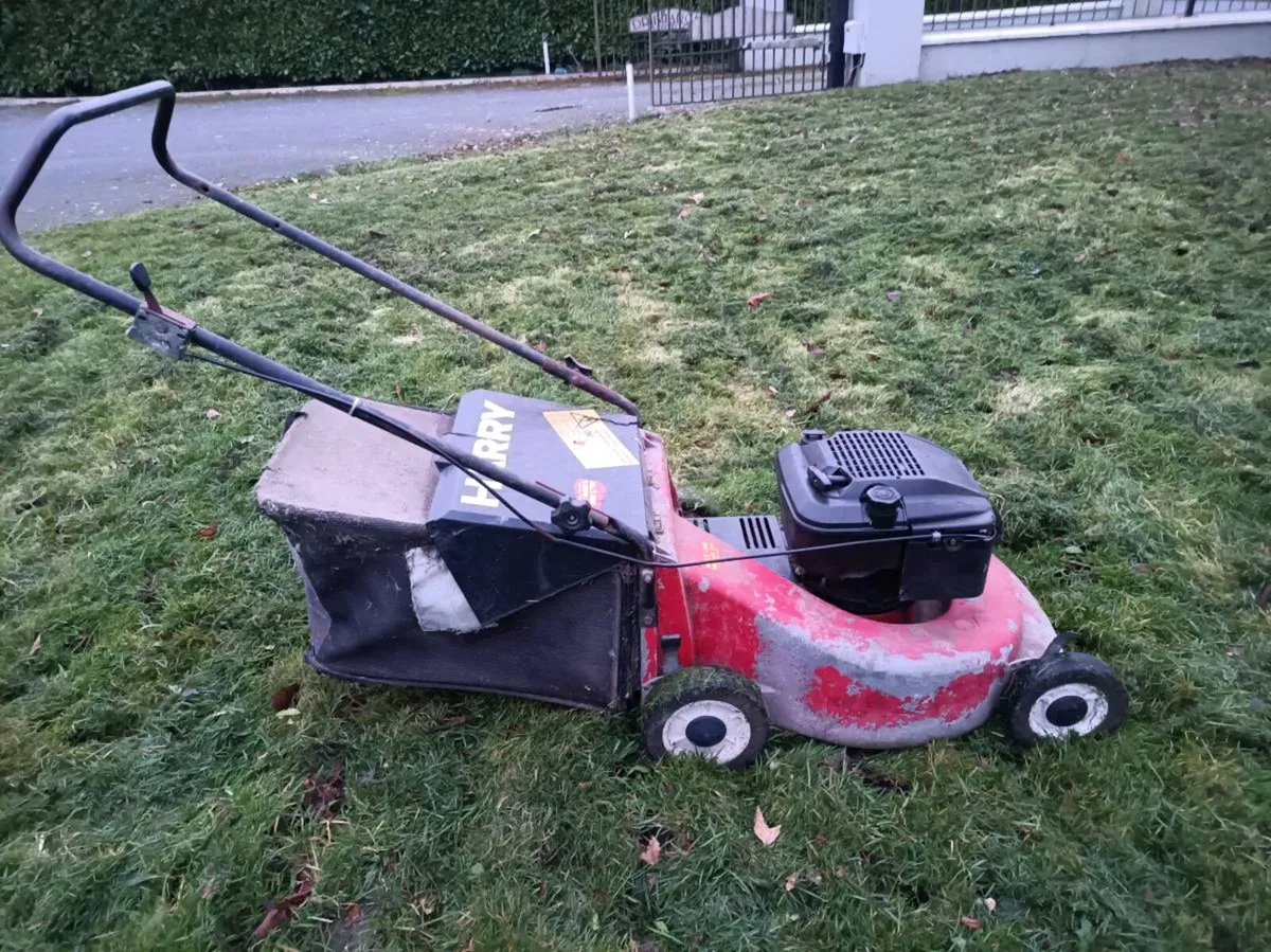 Lawnmower - Image 1