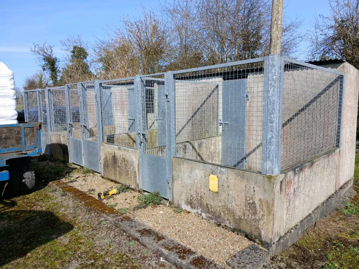 Dog Pens - Image 3