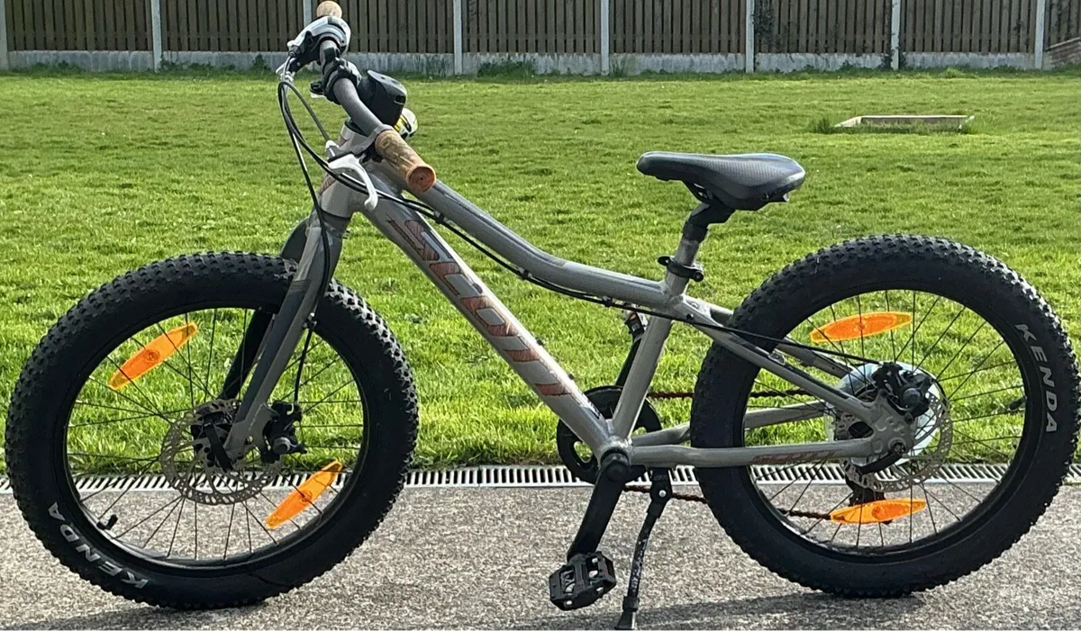 Kids mountain bike - Image 1