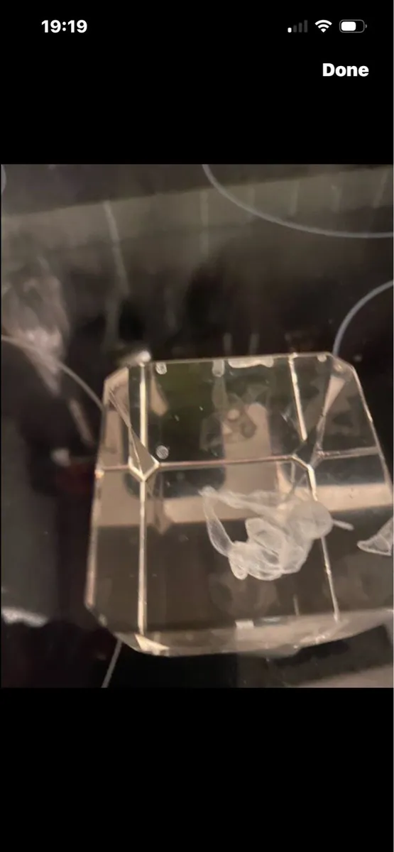 3D Laser Engraved Golf Display - Image 3