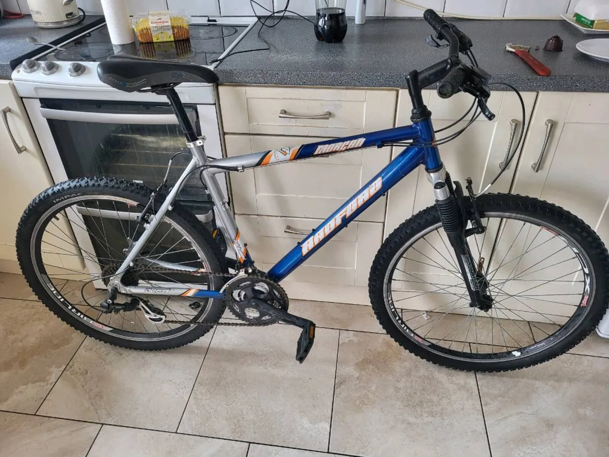 Mountain bike - Image 1