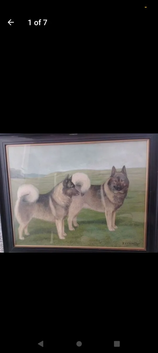 Antique R.A.V Hamilton Norwegian elkhounds oil pai - Image 1