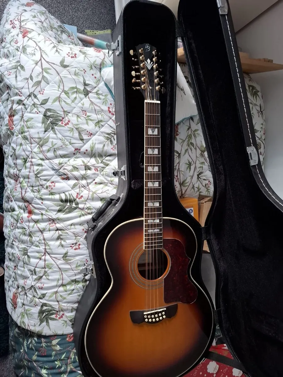 12 string acustic gutar with pickup