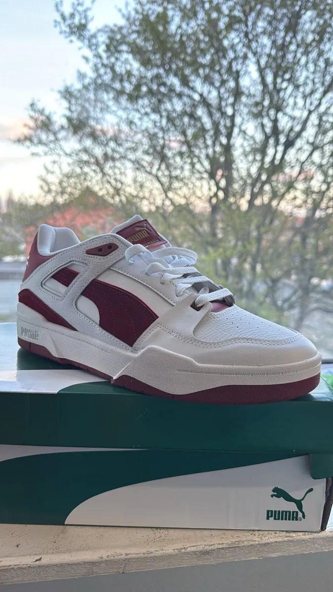 Puma - Image 1