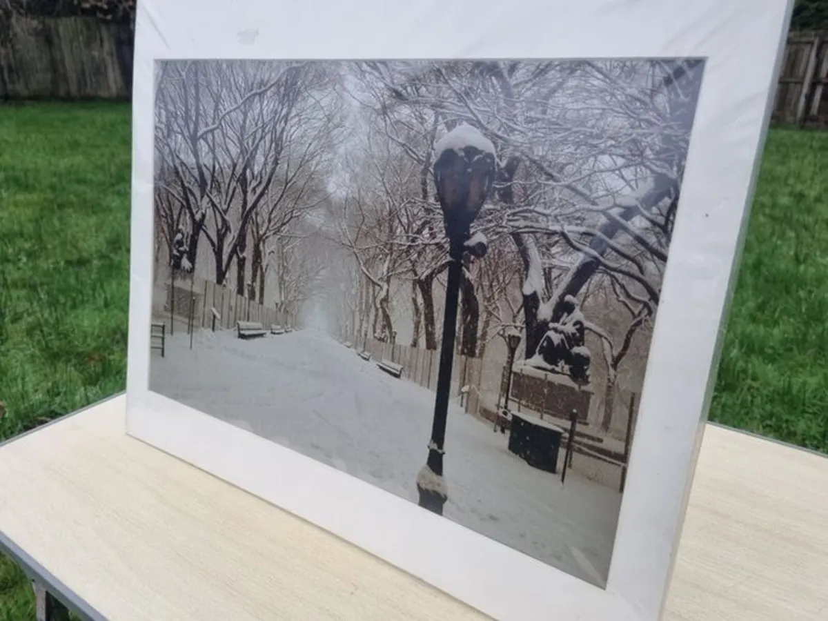 Large art photo - The Mall, Central Park, - Image 4