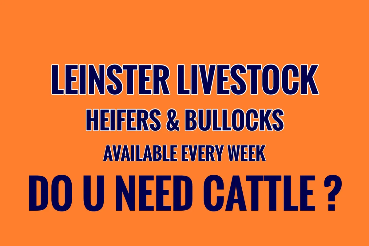 THE DAY U BUY IS THE DAY U SELL - Image 1