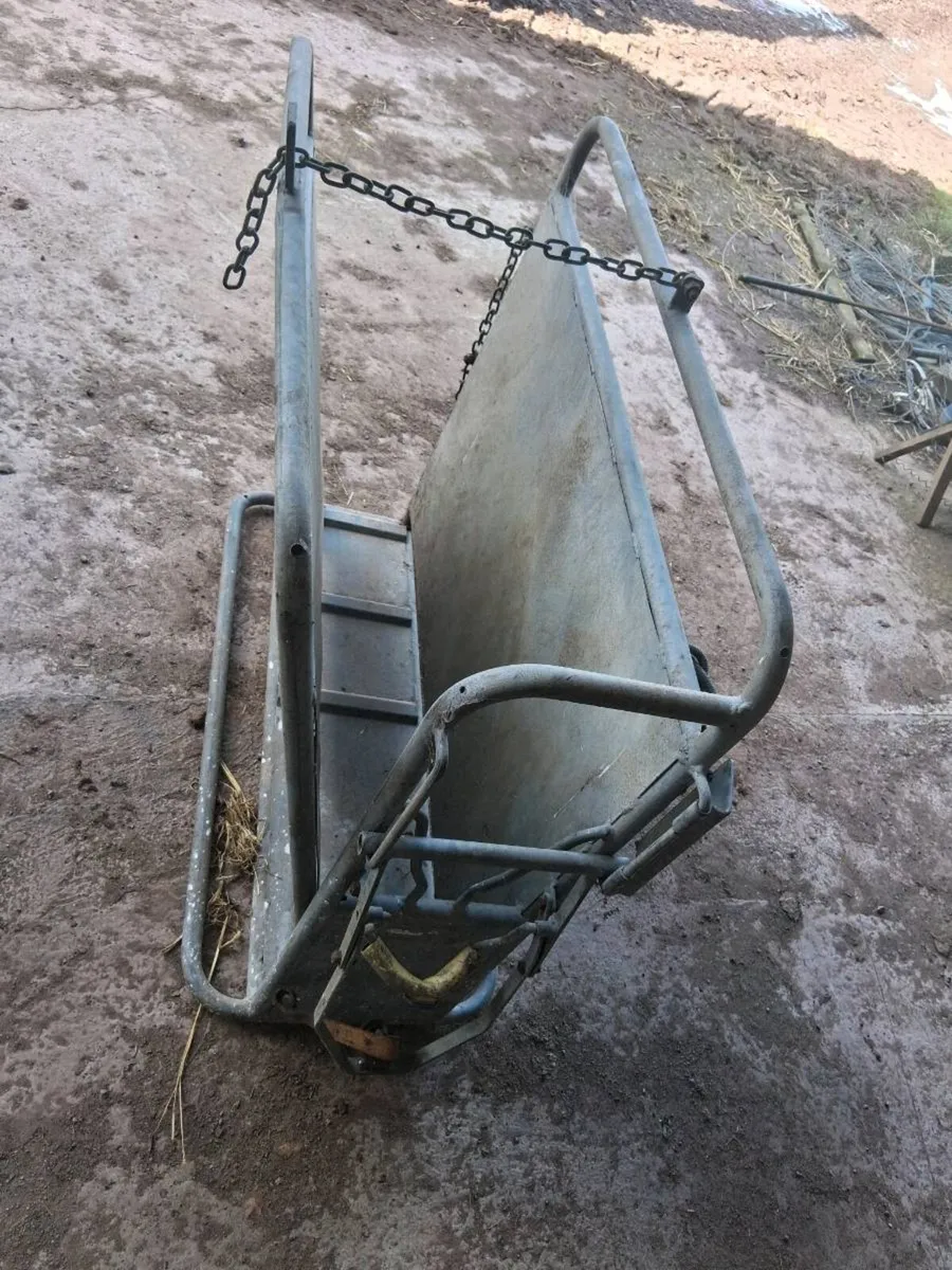 Dehorning crate - Image 1