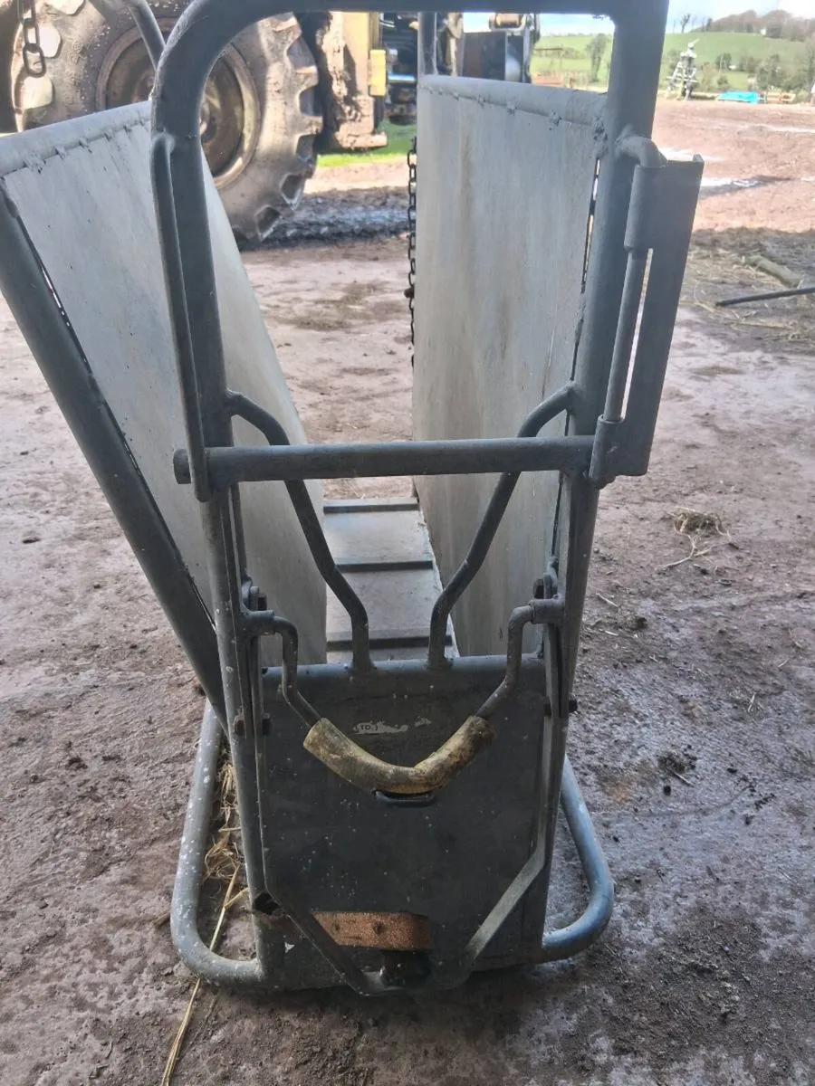 Dehorning crate - Image 2