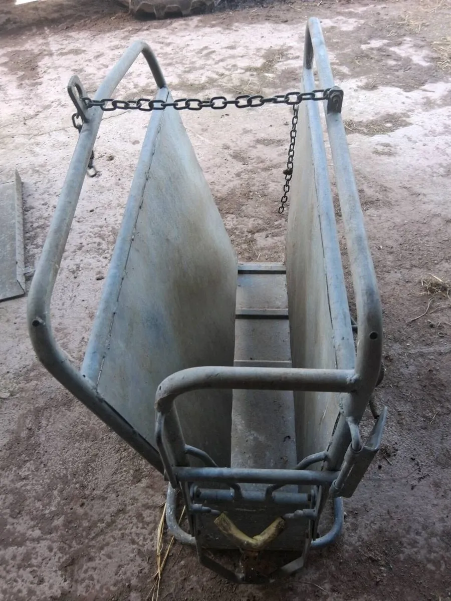 Dehorning crate - Image 3