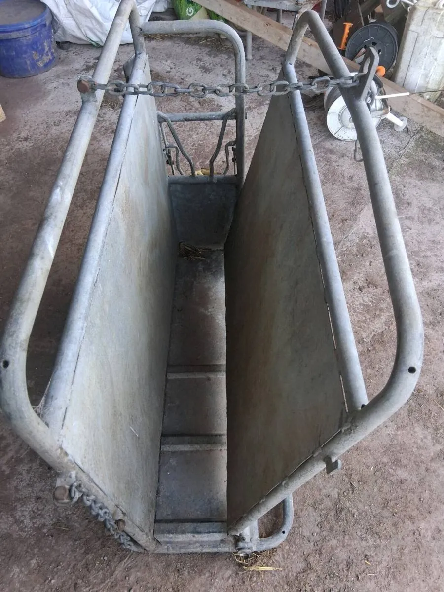 Dehorning crate - Image 4