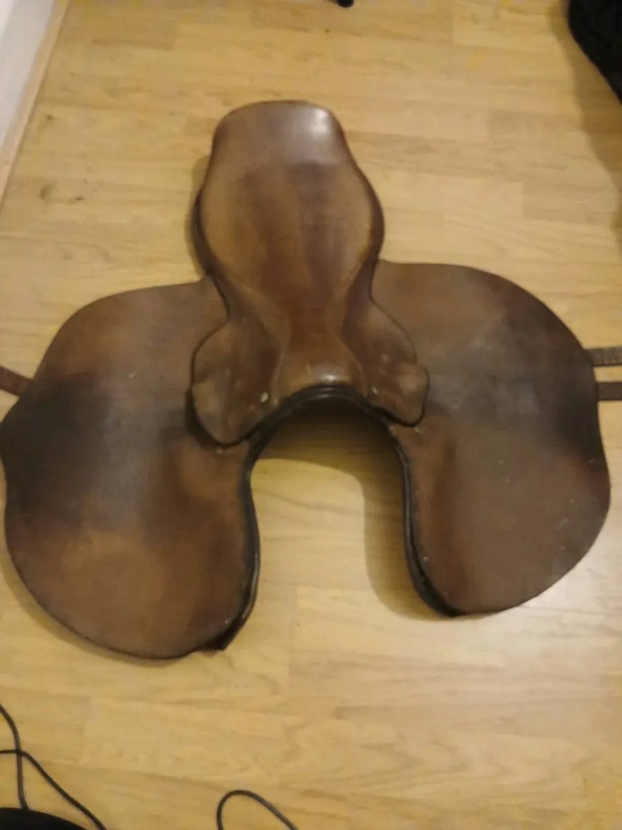 Saddle - Image 1