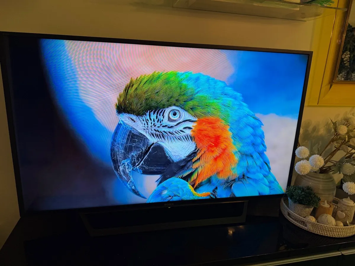 Sony 48” smart TV - Image 1