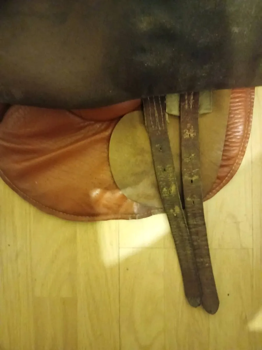 Saddle - Image 2