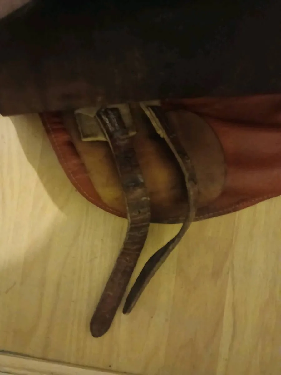 Saddle - Image 3