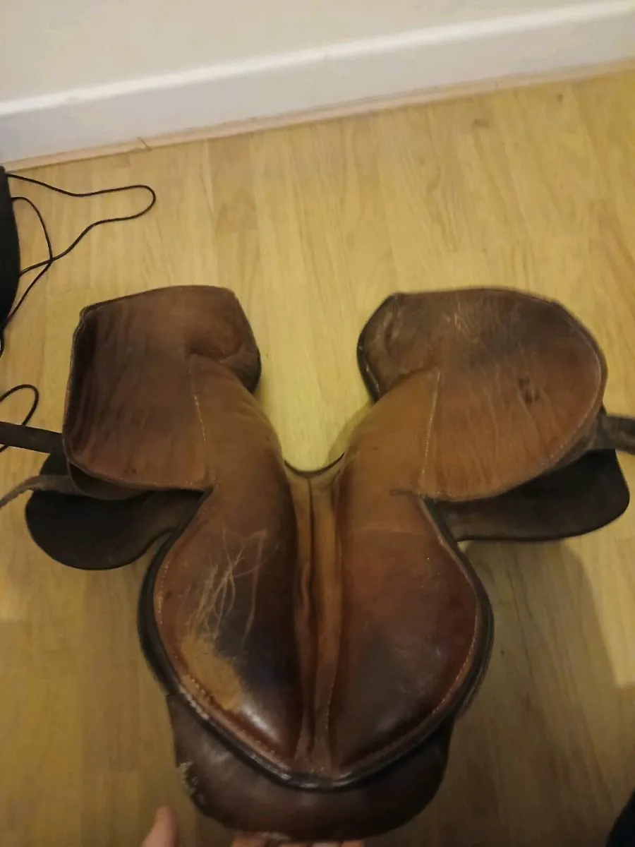 Saddle - Image 4