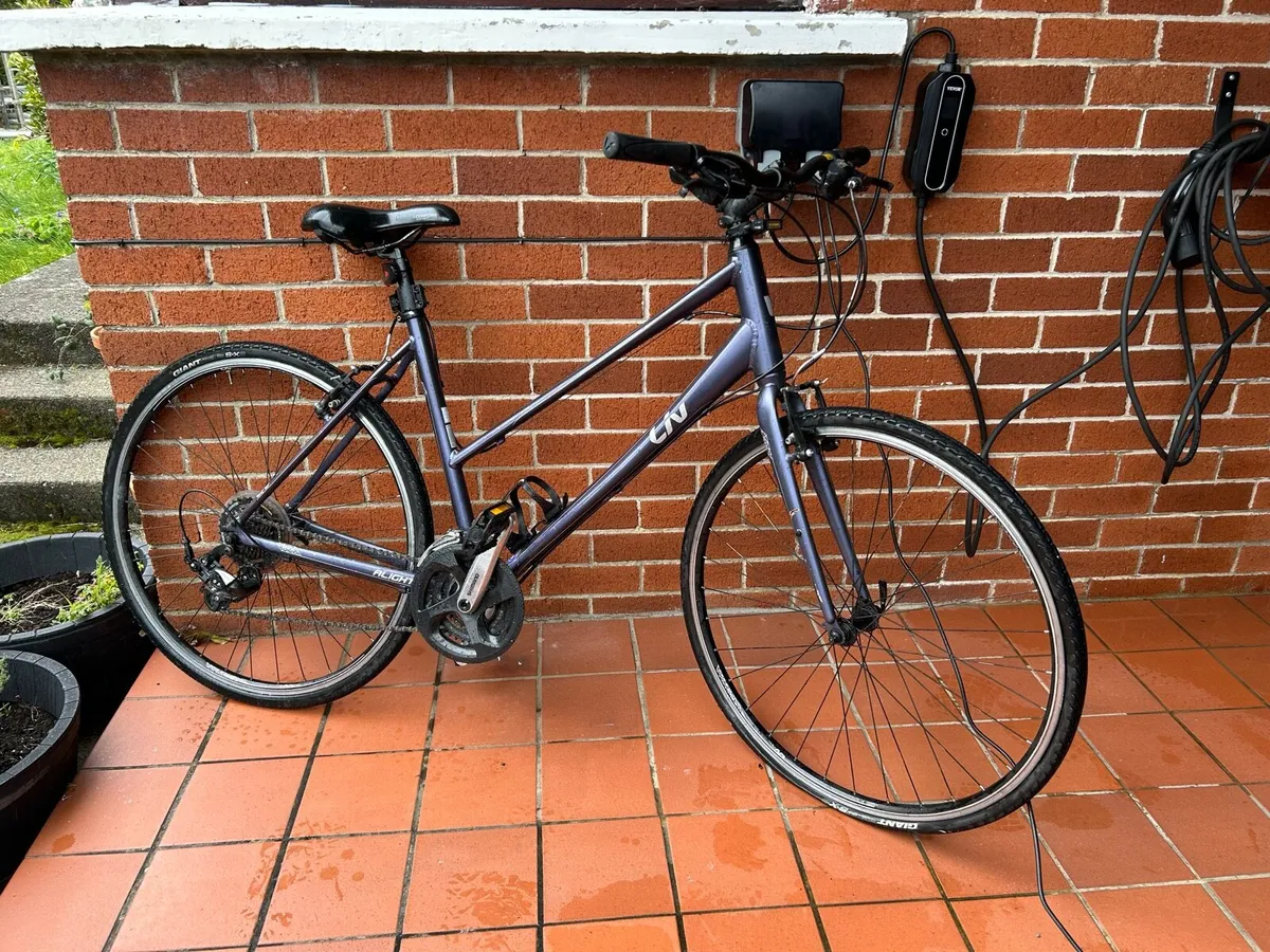 Giant Liv Ladies Bicycle - Image 1