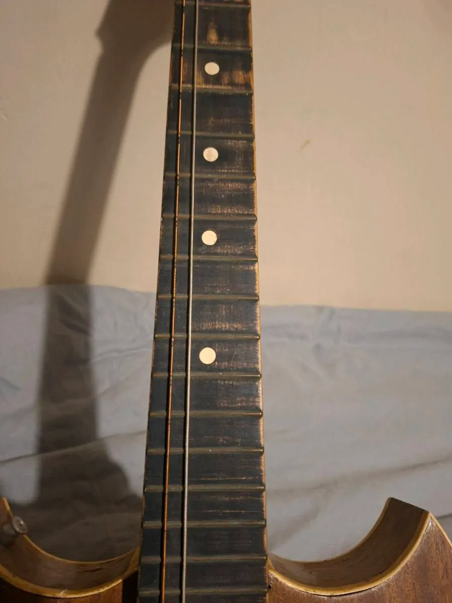 1960's slim body Arctoptop electric Acoustic - Image 3