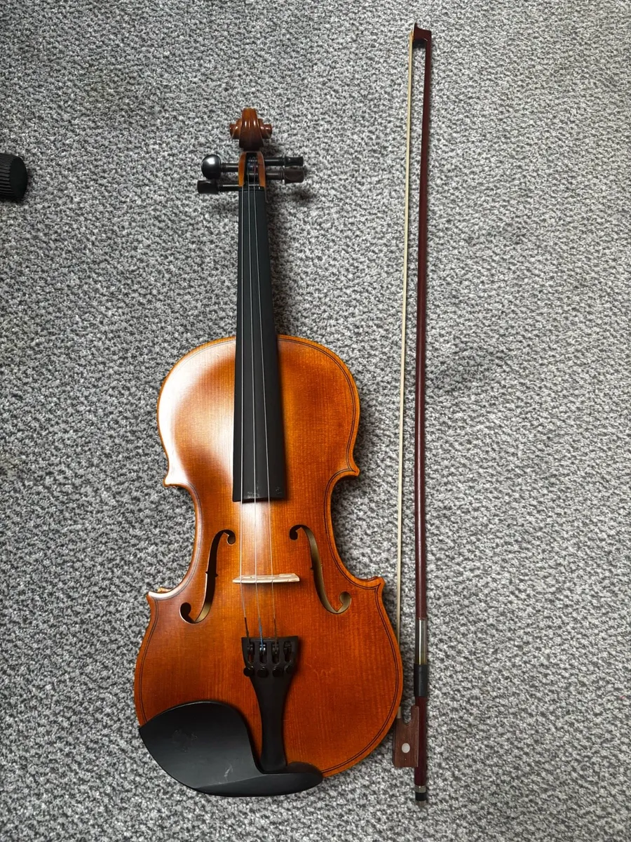 Full-size beginner violin, case & shoulder rest