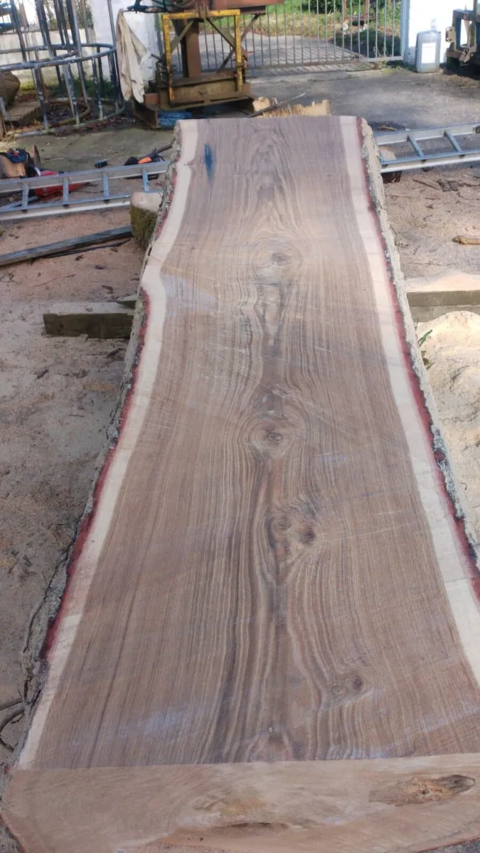 English oak slabs - Image 3