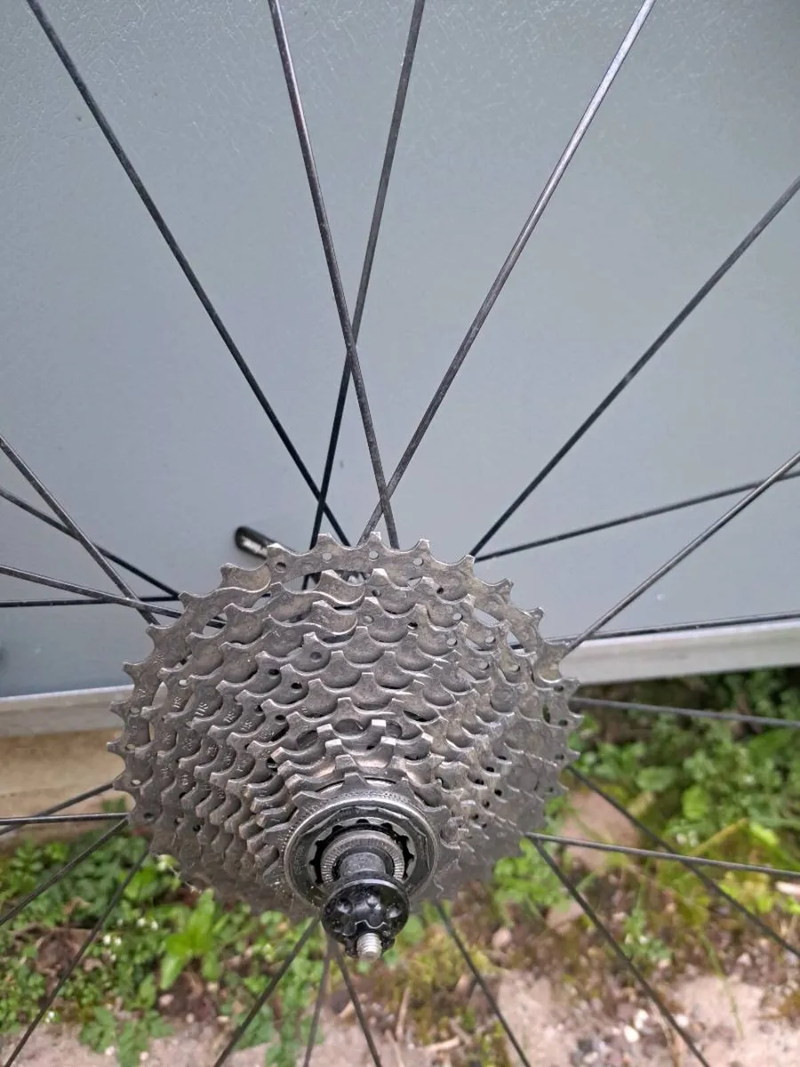 Carbon Wheelset - Image 3
