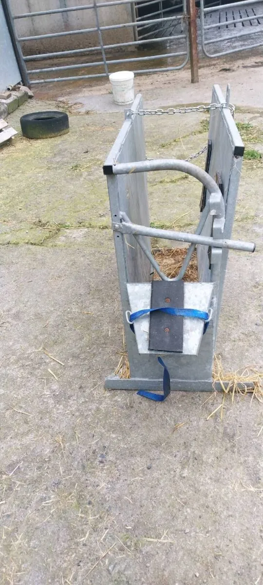 Dehorning crate - Image 2