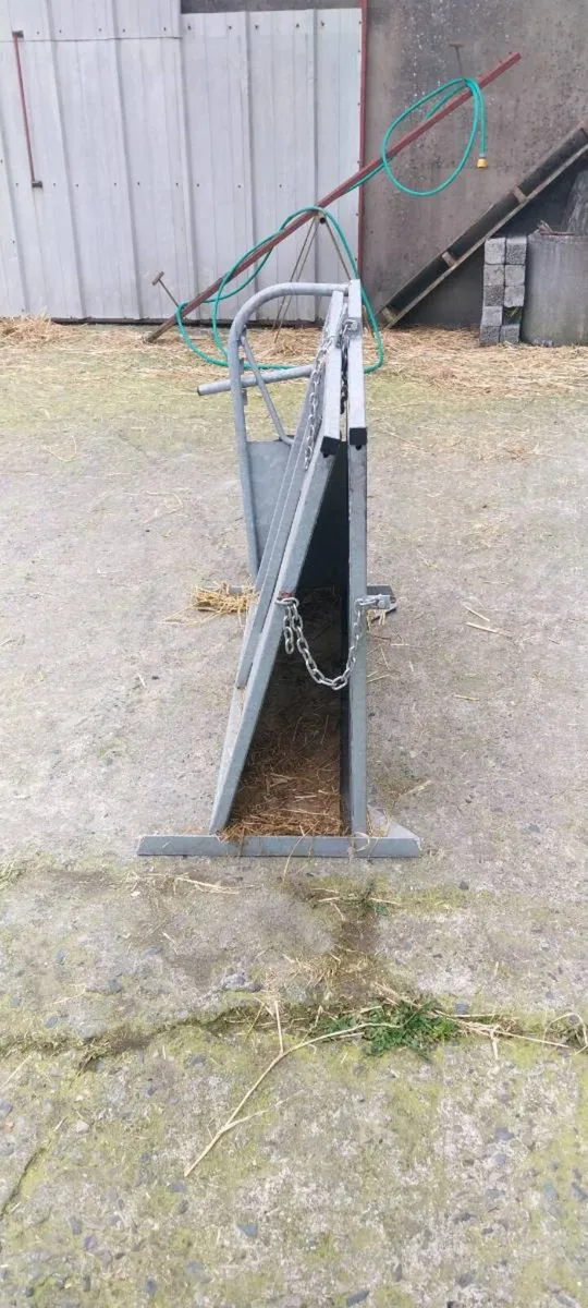 Dehorning crate - Image 3