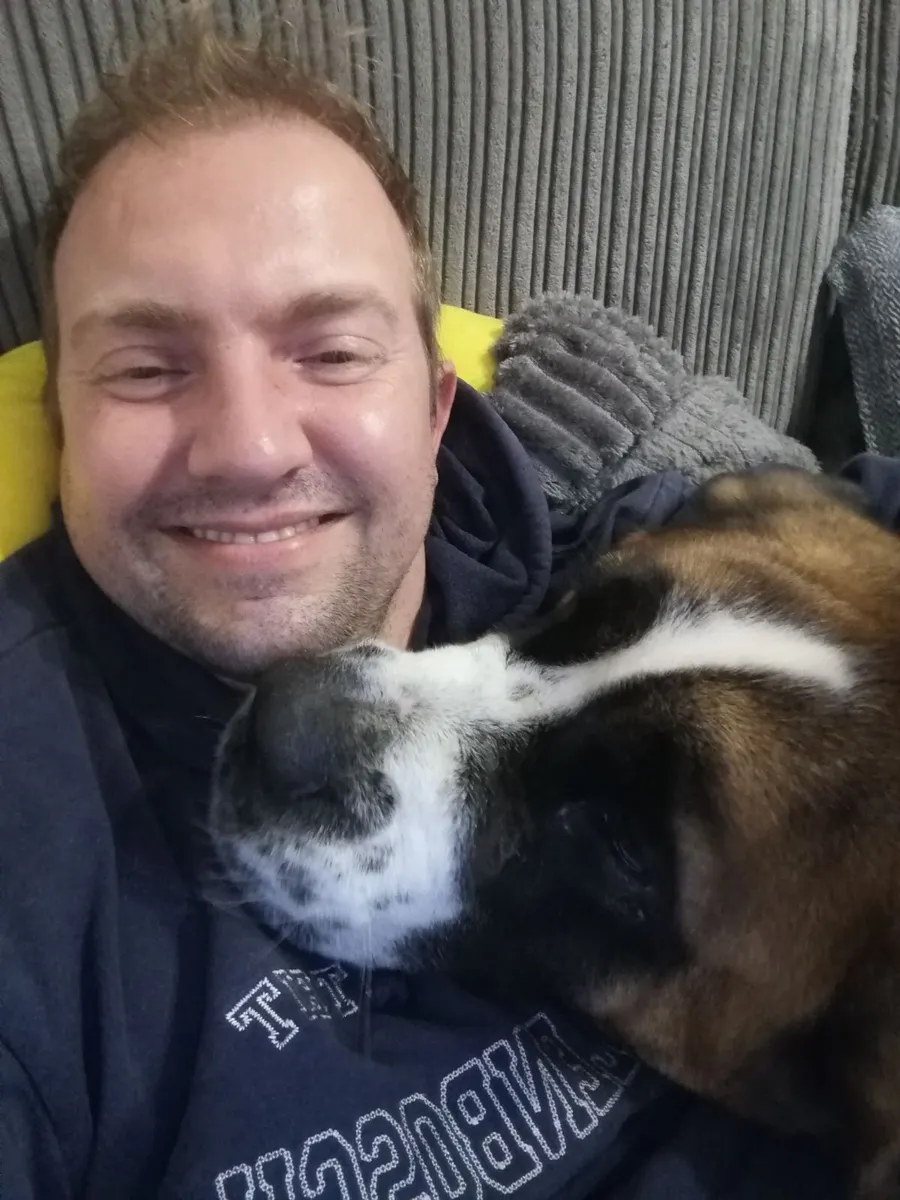 Pet Boarding in My Home – Mallow Area - Image 1