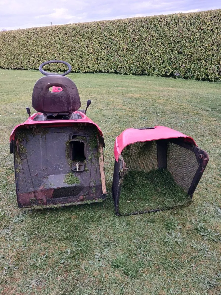 Castlegarden Briggs engine - Image 3