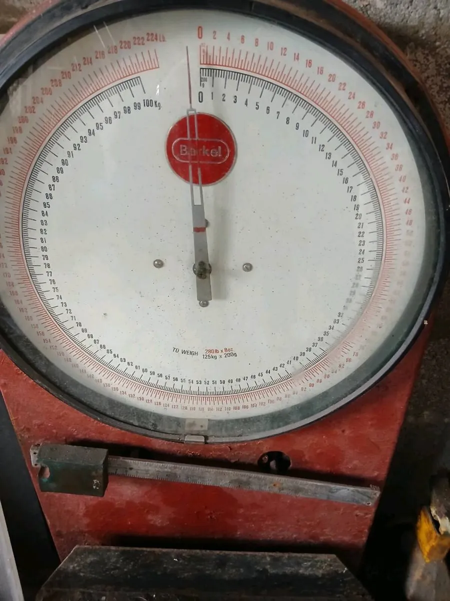 Digger bucket, Berkel scale, hydraulic breaker - Image 4