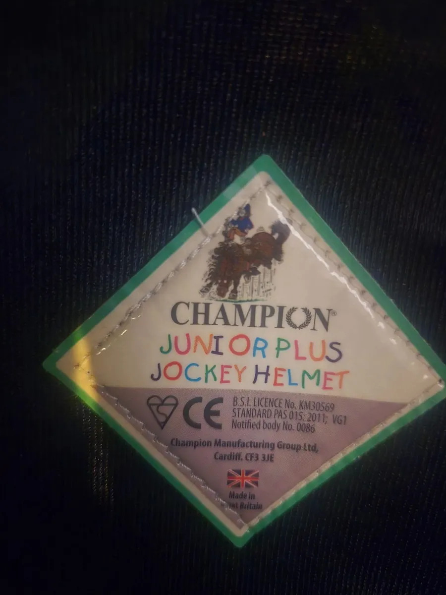 Horseriding helmet boots back protector - Image 2