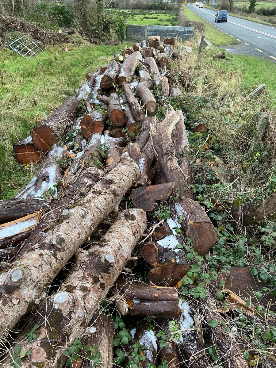 Firewood logs - Image 3
