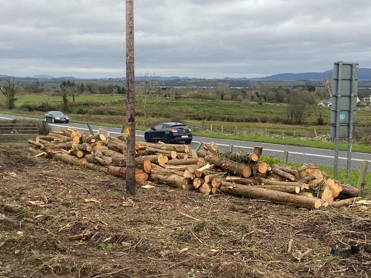 Firewood logs - Image 1