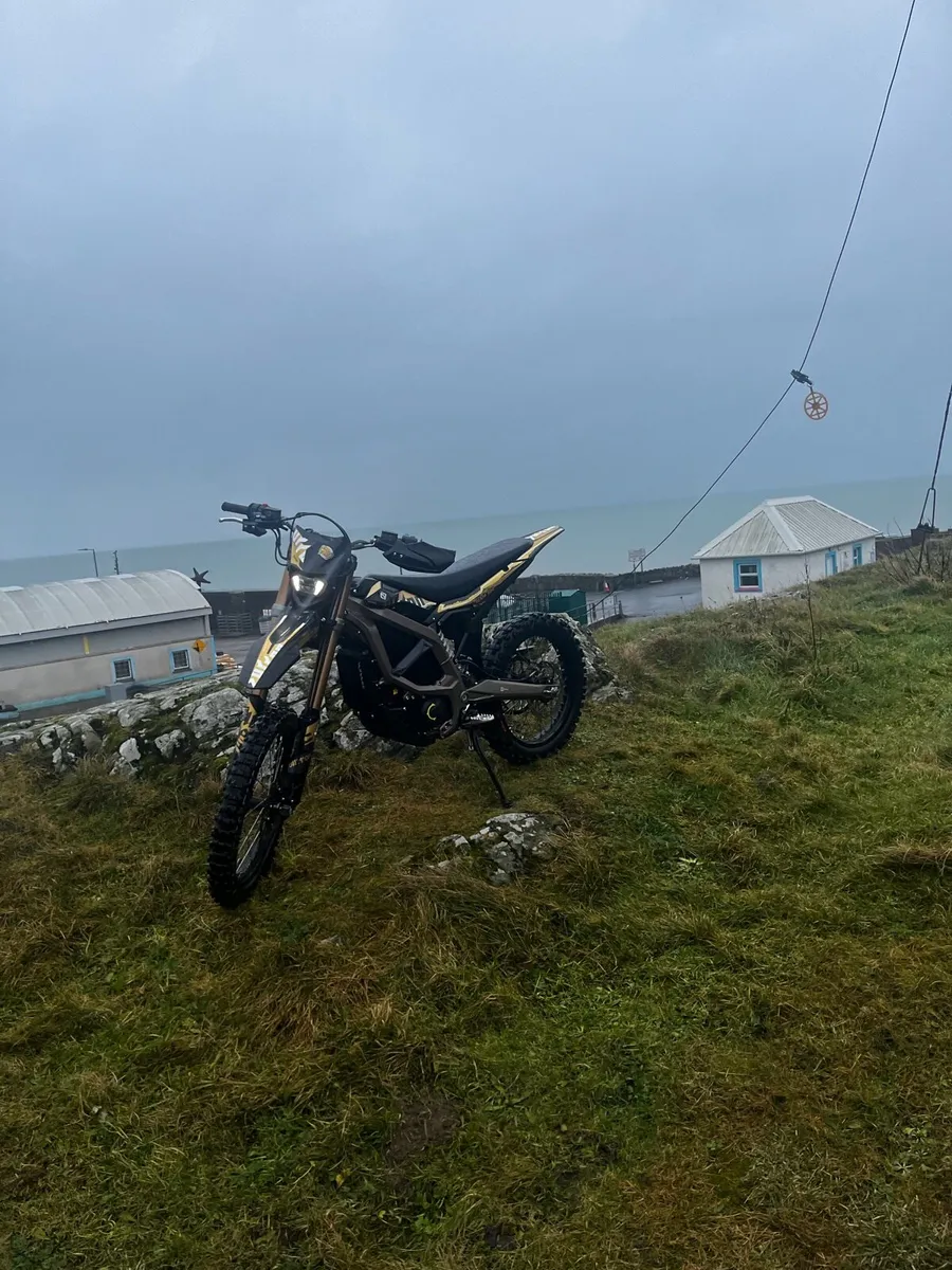 2025 Ultra Bee - Image 4